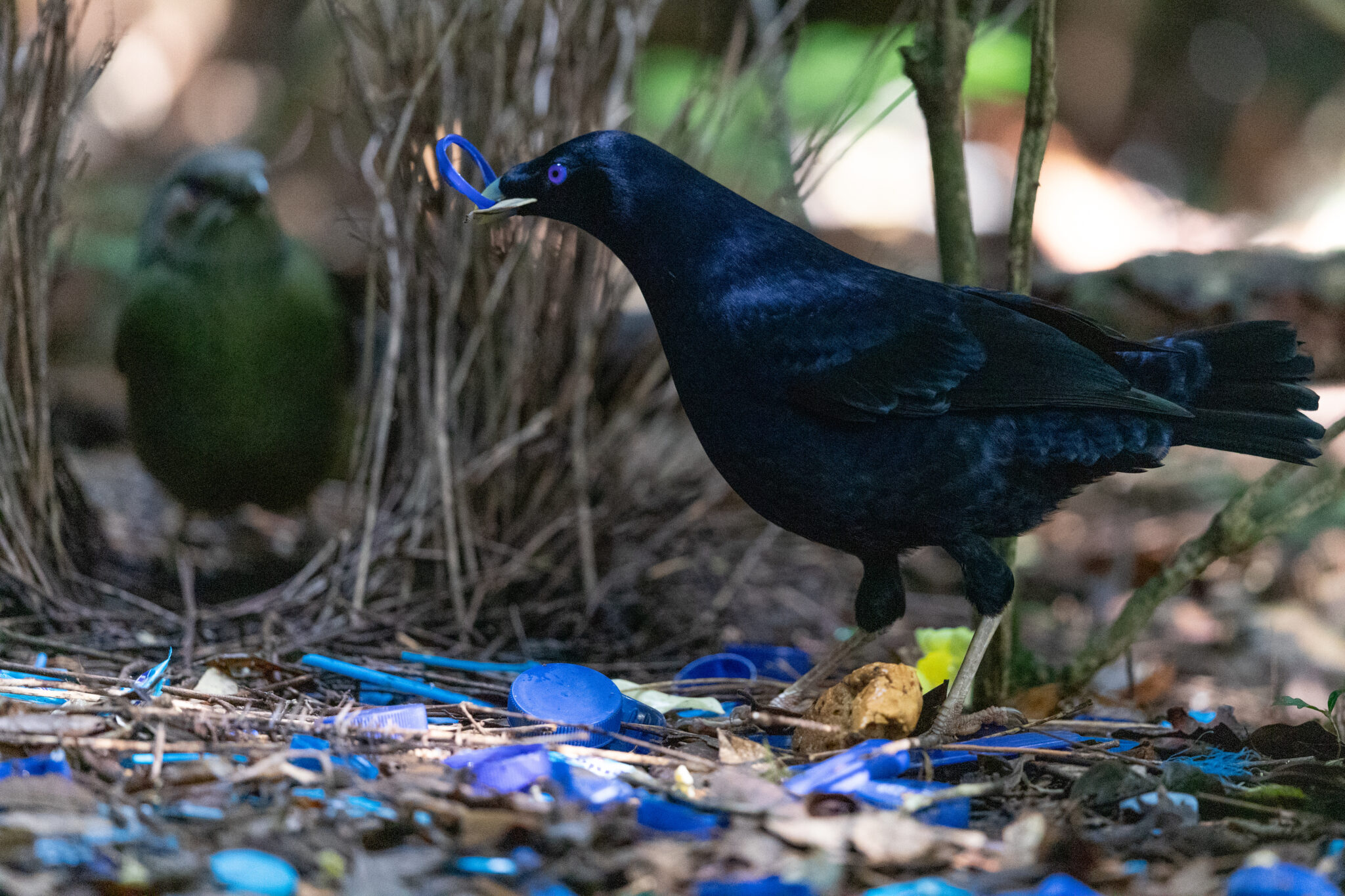 The Art of the Pitch Columns AIA Dallas